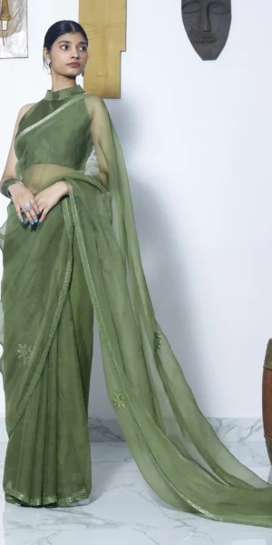 Anaya Olive Silk Organza