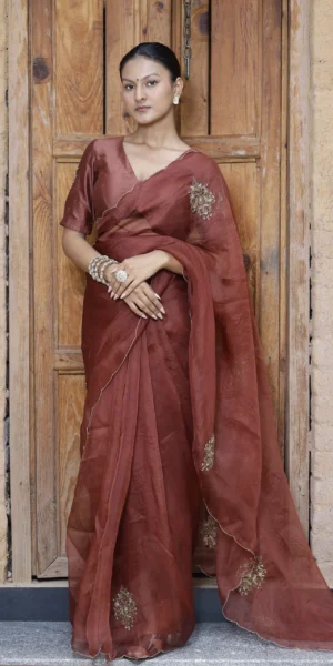 Rohi brown silk organza