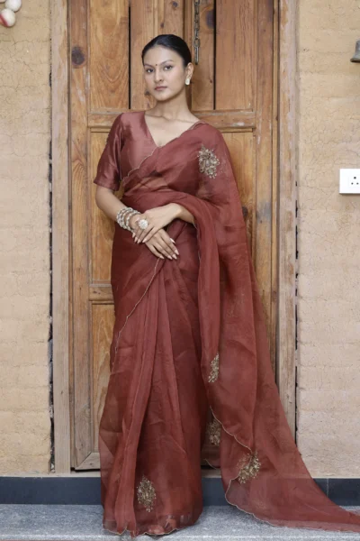 Rohi brown silk organza saree