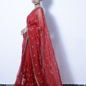 Heer red silk Organza