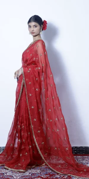 Heer red silk Organza
