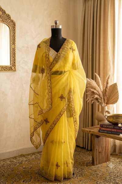 Kirna Silk Organza Saree